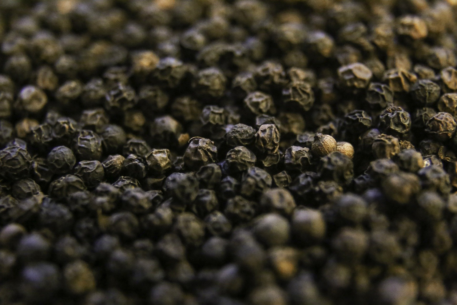 Black pepper farming and Cultivation in India