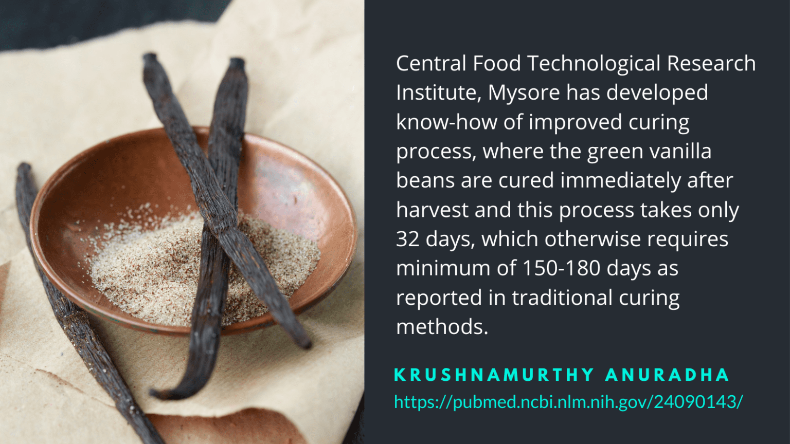 Vanilla Cultivation Profits, Yield , Cost & Per Acre Amra Farms