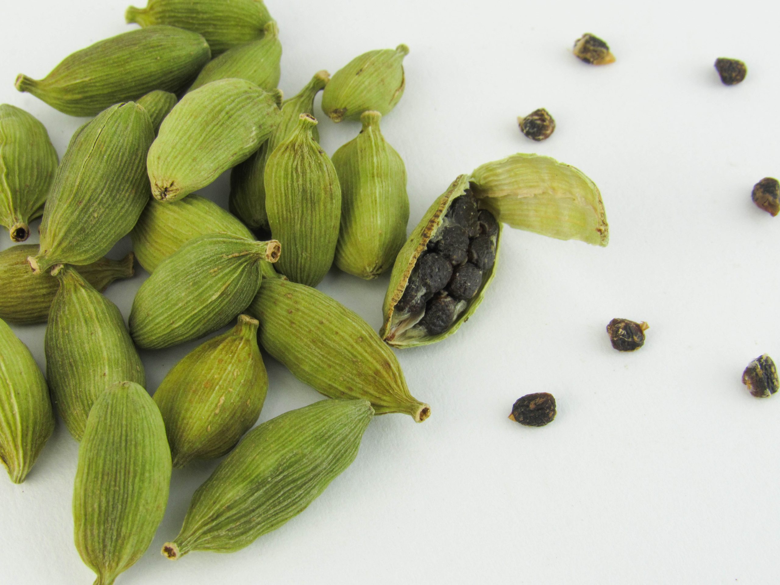 Cardamom Cultivation and farming in india