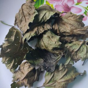 Hibiscus Leaves - Dried